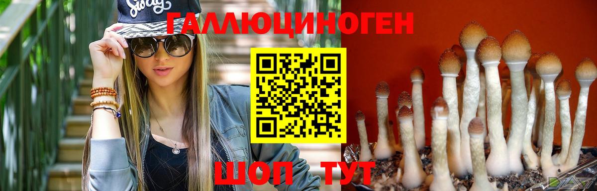Джанкой  Галлюциногенные грибы Psilocybe  Вход с VPN 